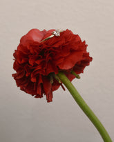 Heart Ring